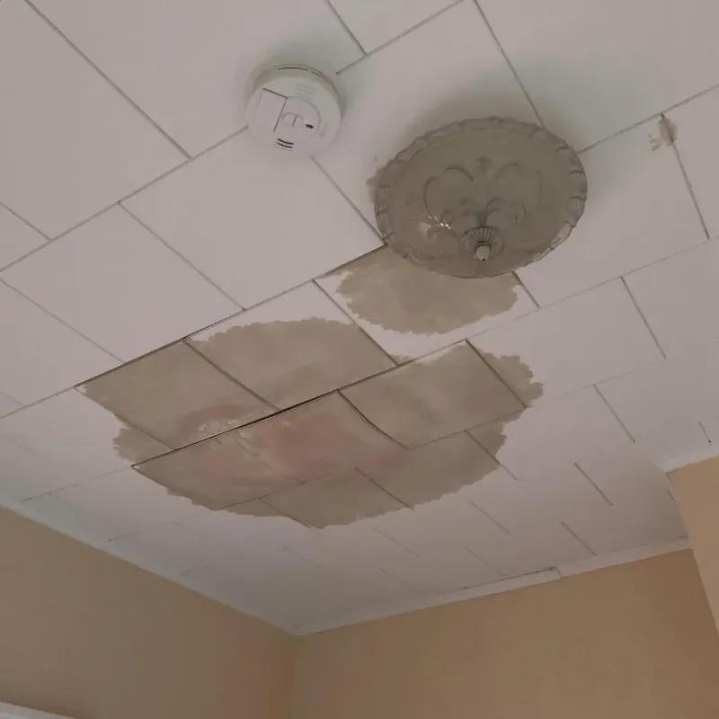 Ceiling Water Damage Repair in Quinton, OK