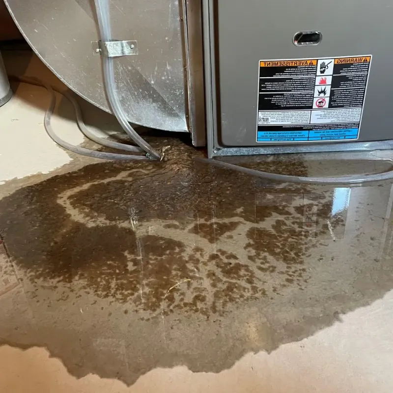 Pipe Burst and Leak Restoration in Quinton, OK