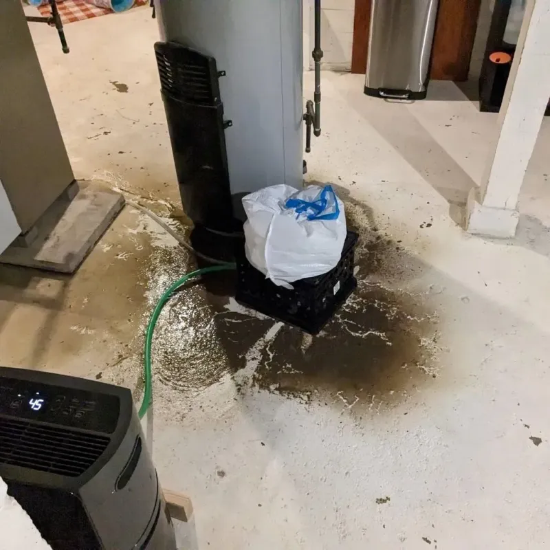 Sewage Backup Cleanup Service in Quinton, OK